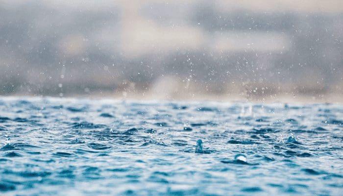 Niet_dogecoin_DOGE_maar_cardano_ADA_de_grote_stijger_vandaag_bitcoin_BTC_blijft_onveranderd Niet dogecoin (DOGE) maar cardano (ADA) de grote stijger vandaag, bitcoin (BTC) blijft onveranderd