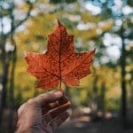 Nog een Noord-Amerikaanse bitcoin (BTC) ETF goedgekeurd, toegang tot BTC steeds makkelijker