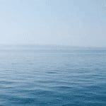 OpenSea eerste NFT marktplaats met handelsvolume boven de $1 miljard, NFT gekte houdt aan