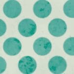 Polkadot (DOT) koers schiet hard omhoog, wordt morgen genoteerd op Bitcoin (BTC) beurs Coinbase