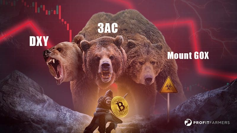 Bear-markt drievoudige dreiging: DXY, 3AC, Mt. Gox – bitcoin analyse & prijsvoorspelling