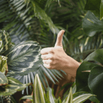 Ripple (XRP) had een topjaar in 2020 en tekende 15 nieuwe klanten na de SEC aanklacht, aldus CEO