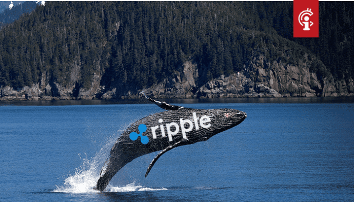 Ripple (XRP) wallet die al 13 jaar niet meer actief was, stuurt 40 miljoen XRP naar exchange, waarom