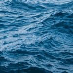Ripple maakt beursgang zodra rechtszaak voorbij is, zegt CEO grootste aandeelhouder