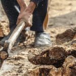 Ripple oprichter: Buterin is een held, noemt bitcoin de ‘meest vieze cryptocurrency’