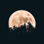 SafeMoon (SAFEMOON) slaat de plank mis Nieuwe wallet boordevol problemen