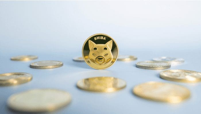 Dogecoin en shiba inu hardste stijgers in groene crypto-markt