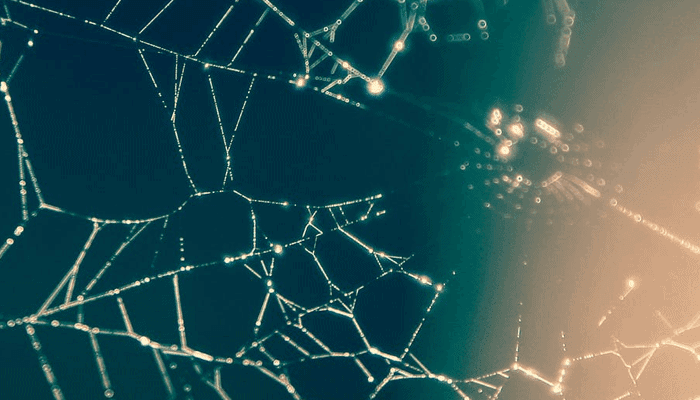 Waarde_verzonden_bitcoin_BTC_in_december_hoogste_niveau_van_2020 Waarde verzonden bitcoin (BTC) in december hoogste niveau van 2020