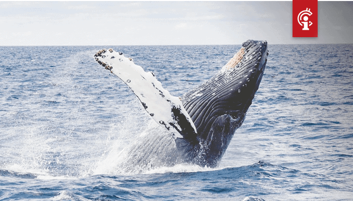 Whale Alert Transactie van 60 miljoen XRP vanaf Bithumb