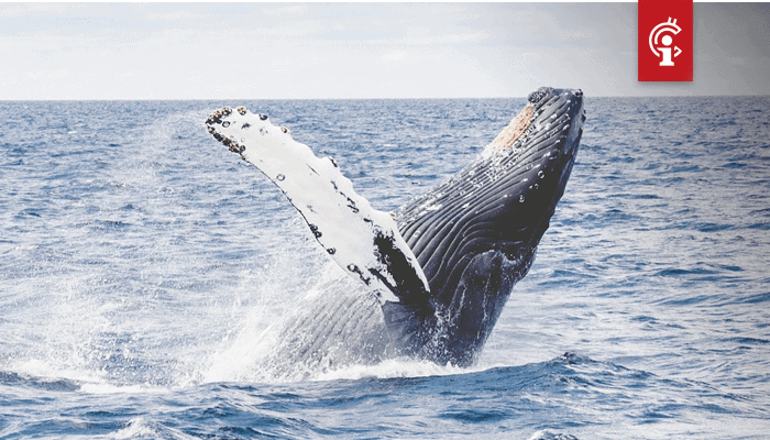 Whale_Alert_Transactie_van_60_miljoen_XRP_vanaf_Bithumb-1 Whale Alert Transactie van 60 miljoen XRP vanaf Bithumb