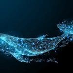 XRP whales zijn op grote schaal aan het inslaan