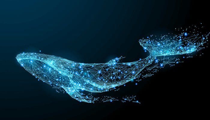 XRP whales zijn op grote schaal aan het inslaan