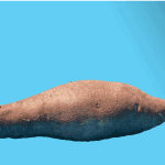 YAM, een nieuw DeFi project, stort volledig in na ontdekking van een bug 2 dagen na lancering
