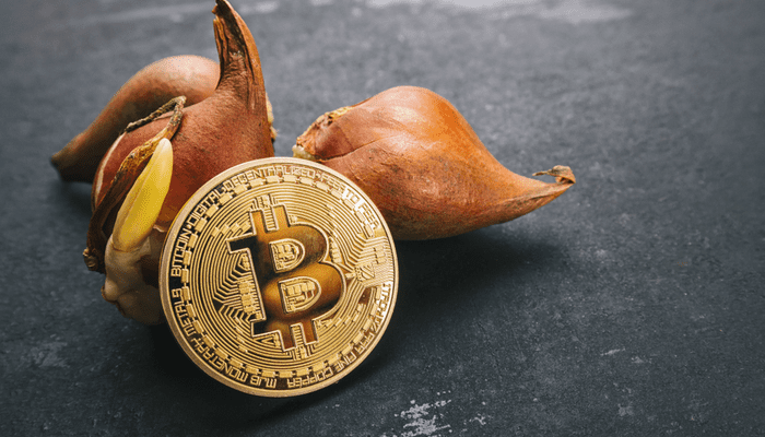 Bitcoin en de tulpenmanie vergeleken en ontkracht