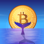 Crypto rally: whales slaan in, maar experts uiten zorgen over bitcoin