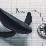 Grootste bitcoin whale blijft de dip kopen, 481 BTC in 7 dagen tijd