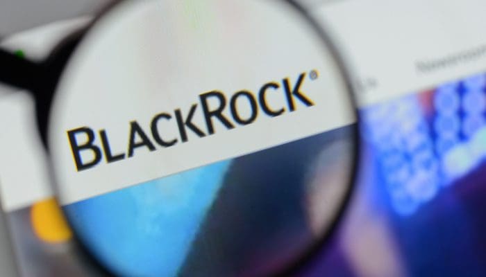BlackRock Topman: Bitcoin Zal Niet Zomaar Verdwijnen