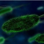 Bitcoin en crypto-gerelateerde conferenties geteisterd door coronavirus