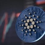 Cardano oprichter is optimistisch over de toekomst