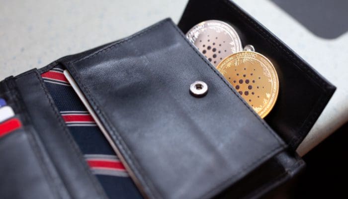 Cardano komt met Lace: Een nieuwe light wallet