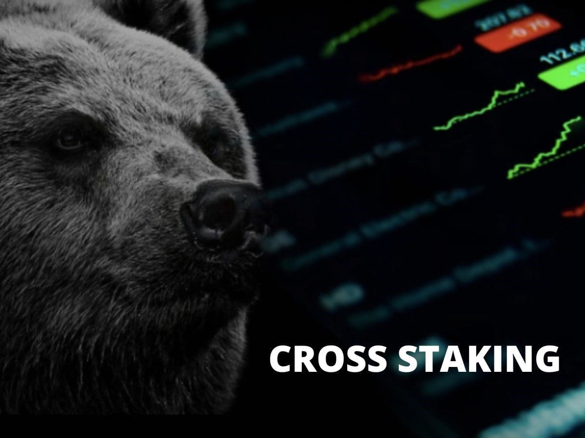 Cross Staking beschermt crypto beleggers tegen bear-markt