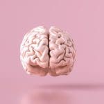 Om een goed antwoord te kunnen geven op de vraag of beleggen in crypto hetzelfde is als gokken, duiken we de geschiedenis van de psychologie in. Een van de eerste gedragstherapeuten ter wereld, was de Amerikaanse onderzoeker B.F. Skinner (1904-1990). Skinner wilde kortgezegd begrijpen hoe mensen in staat zijn tot “leren” en gebruikte in zijn experimenten dieren, waaronder duiven en ratten. Gokken en beleggen zijn beide strategieën die de mens kan inzetten om een beloning te krijgen. Wat zijn de overeenkomsten en wat zijn de verschillen? Deze vraag wordt in het onderstaande artikel uitgewerkt. Beloningsleren Skinner maakte gebruik van zogenaamde Skinner-boxen waarin hij een aantal condities “programmeerde” waarbij een beloning werd gegeven als werd voldaan aan een vastgestelde set condities. Een van de eenvoudigste voorbeelden hiervan is het plaatsen van een knop waarop door een duif gepikt moest worden. Als de duif op deze knop pikte, kreeg deze direct een beloning in de vorm van bijvoorbeeld een graankorrel. Skinner onderzocht de invloed van een directe beloning op de snelheid van pikken maar ook wat er gebeurt wanneer de beloning werd uitgesteld. De uitgestelde beloning kon op twee manieren worden aangeboden: ten eerste op een voorspelbare manier. De duif kreeg bijvoorbeeld eens per tien keer een graankorrel. Men kan echter in de tweede plaats ook op een onvoorspelbare wijze een uitgestelde beloning aanbieden door bij een willekeurig aantal drukken op de knop een graankorrel te verstrekken. En wat blijkt uit dit eenvoudige experiment? Vooral het op onvoorspelbare en uitgestelde wijze belonen van gedrag heeft een zeer sterk belonend effect. Anders geformuleerd: als een duif niet precies weet wanneer deze een beloning kan verwachten, neemt de frequentie van het pikken enorm in tempo toe. De conclusie die hieruit getrokken kan worden, is dat een onverwachte, uitgestelde beloning (Skinner noemde dit intermittent reinforcement) de meest krachtige wijze van belonen is. Je ziet dat het principe van een gokkast gebaseerd is op precies deze set condities. Ons menselijke brein is gevoelig voor beloning. Blijkbaar heeft deze gevoeligheid ons een evolutionair voordeel gegeven. Wat gebeurt er in ons brein bij een beloning? Ons brein bestaat uit ongeveer 100 miljard neuronen die met elkaar verbonden zijn door middel van receptoren. Wanneer een receptor wordt geactiveerd, wordt een signaaltje doorgegeven van de ene zenuwcel naar de volgende waardoor je beloning voelt. Hierbij spelen neurotransmitters zoals serotonine (geluk) en dopamine (euforie) een belangrijke rol. Vooral dopamine speelt een belangrijke rol bij het beloningsleren. Wanneer een gokker wint, komt er een relatief grote hoeveelheid dopamine vrij in ons brein. Dat geeft het “yes”-gevoel, een sterke vorm van blijheid. Door dit gevoel van euforie, krijgen handelingen een positieve betekenis. Intermittent reinforcement + dopamine = uithoudingsvermogen Vanuit de evolutie gezien geeft de combinatie intermittent reinforcement en dopamine de perfecte bekrachtiging voor het zoeken van bijvoorbeeld zoet voedsel. Zoet voedsel was zeer gewild voor de vroege mens omdat een kleine hoeveelheid bessen (om maar iets te noemen) een grote hoeveelheid energie opleverde. Helaas is het wel zo dat alle dieren dit van nature weten en de mens moest concurreren met al deze dieren. Er was dus nogal wat gezoek en geduld nodig om een kleine hoeveelheid bessen bij elkaar te verzamelen (intermittent reinforcers). Van tevoren wist men ook niet precies wanneer en waar men zoetigheid zou vinden. Voilà, wanneer er zoetigheid gevonden werd, was men super blij (shotje dopamine). Crypto beleggen vs gokken: twee verschillende werelden Zonder goed na te denken over de vraag of beleggen in crypto en gokken hetzelfde is, is men in het algemeen snel geneigd om te denken dat dit exact hetzelfde is. Dit is echter pertinent niet waar: beleggen en gokken zijn twee totaal verschillende zaken. Er zijn een aantal overeenkomsten. Beide zijn, zoals al eerder benoemd, strategieën om een beloning te kunnen verdienen. Bij beide strategieën komt dopamine vrij; bij gokken na het winnen van de prijs en bij beleggen bij een toename van de koersen of bij uitkering van eventuele winsten. Beide strategieën hebben risico op verlies van de inleg. De verschillen zijn echter duidelijker. In de crypto-space wordt continu geroepen “do your own research” en “bepaal je beleggingsstrategie”. Wanneer je een coin goed onderzoekt en de fundamenten van een coin begrijpt, je snapt welke meerwaarde een munt kan bieden en welke toepassing deze nastreeft en je daarnaast eveneens helder hebt binnen welke termijn je een bepaalde winst zou willen behalen, is de mogelijkheid dat je winst behaalt aanzienlijk groter dan bij gokken. Dat is zeker zo als je je risico spreidt. Bij gokken is de uitkomst hooguit de win-kans en bijna altijd 100% verlies. Daar zit niets tussen. Er is een genetische aanleg voor het ontwikkelen van een verslaving, de ene persoon is er meer vatbaar voor dan de ander. Een verslaving kan zich uiten in drugsmisbruik, alcoholmisbruik maar kan ook tot een gokverslaving verworden. Juist doordat een verslavingsgevoelig brein super gevoelig is voor de effecten van dopamine, voor de kick, kun je “hooked” raken. Mensen kunnen hele dagen op websites of in het casino spenderen en hun hele fortuin vergokken wanneer zij verslavingsgevoelig zijn. Het gebeurt ook bij (crypto-)beleggers dat zij er veel tijd aan kwijt zijn. Een belegger controleert vooral of de beleggingsstrategie nog leidt tot het beoogde resultaat en probeert bij te sturen wanneer dit niet zo is. Dit blijft onderliggend gebaseerd op ratio en de strategie die werd gekozen. Beleggers zijn in tegenstelling tot gokkers juist controlebehoeftig. Zij remmen impulsen succesvol af door de kracht van hun denken in te zetten. Ook controlegedrag kan echter problematisch worden. Dit is fundamenteel dan wel een ander probleem dan wat er bij een een gokverslaving aan de hand is. Toegegeven, het kost in beide gevallen veel tijd die je niet kan besteden aan andere zaken. Vooral bij mensen die gevoeliger zijn voor angst kan beleggen tot problemen leiden. Bijvoorbeeld als iemand de neiging krijgt meer en meer geruststelling te zoeken en steeds moet checken of de strategie nog wel klopt. Er bestaat in dat geval een risico dat je een obsessie ontwikkelt. Een obsessie wil zeggen dat je bang bent voor controleverlies en gedrag stelt om de angst te vermijden. Impuls(controle) Concluderend kunnen we zeggen dat een verslaving een tekort aan impulscontrole is en beleggen idealiter juist het tegenovergestelde daarvan, op zijn Engels: een belegger is “in control”. Niet of te weinig denken versus juist wel denken! Tot slot is een nuance op zijn plaats. Verreweg de meesten van ons kunnen prima een gokje wagen zonder verslaafd te raken en een kleine minderheid van de beleggers ontwikkelt een obsessie. No worries, geniet van het leven en doe waar je blij van wordt!
