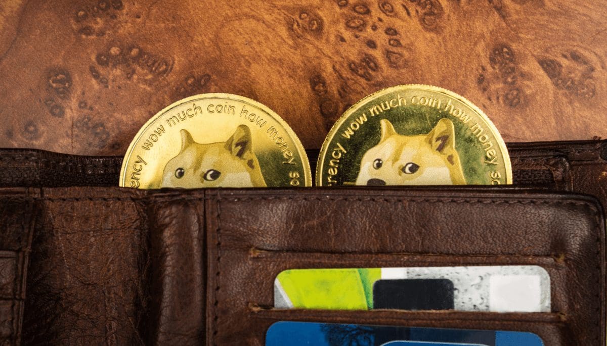 Is deze mysterieuze Dogecoin wallet van $24 miljard van Elon Musk?