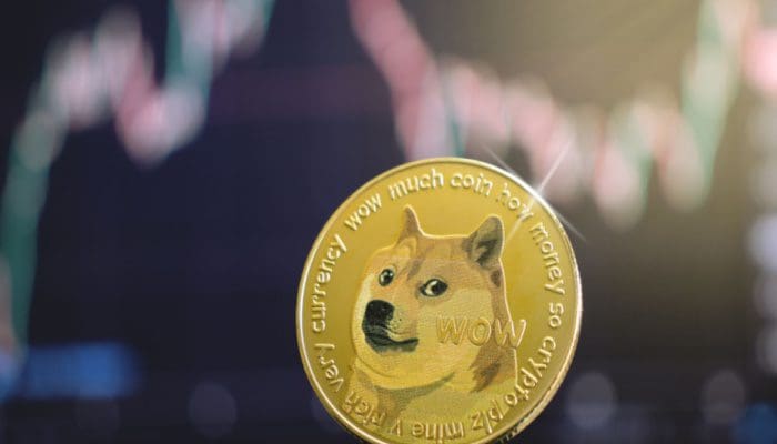 Verdienen Meme-Coins zoals Dogecoin meer Respect?