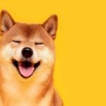 Shiba Inu lanza una versión beta para Shibarium llamada 