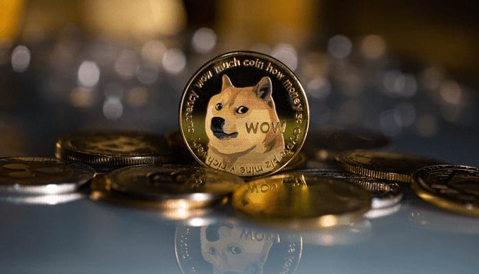 Dogecoin houders opgelet: DOGE koers kan nog eens 70% tot 90% dalen