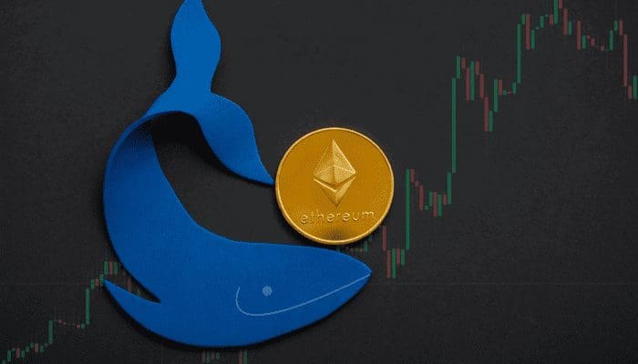 Ethereum whales kopen voor $500 miljoen de dip