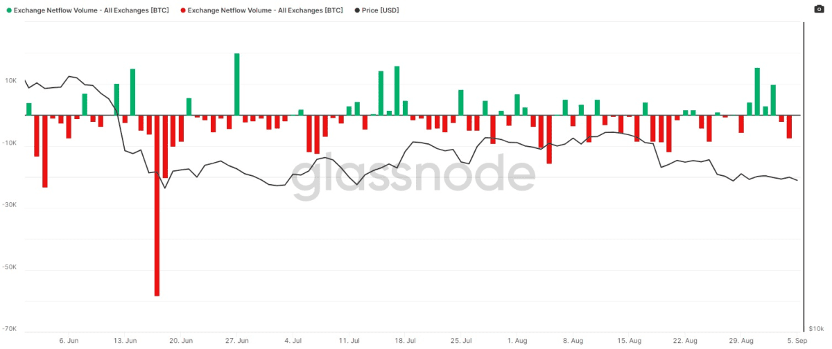 Bitcoin Exchange Netflow (bron: Glassnode)