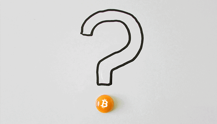 net_begonnen_met_bitcoin_of_andere_crypto_stel_ons_7_dagen_per_week_je_vragen