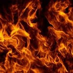 Shiba inu lanceert burn portal: vernietig je SHIB voor beloning