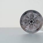 Aantal Cardano wallets stijgt met 1.200% in een jaar