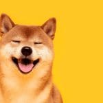 Cryptobeleggers kopen legendarische Dogecoin en Shiba inu meme
