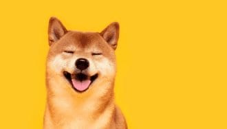 Cryptobeleggers kopen legendarische Dogecoin en Shiba inu meme