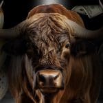 De volgende crypto bullmarkt: Ben jij er al klaar voor?