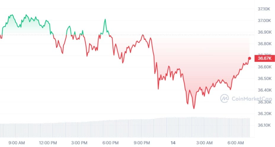 Bitcoin koers CoinMarketCap