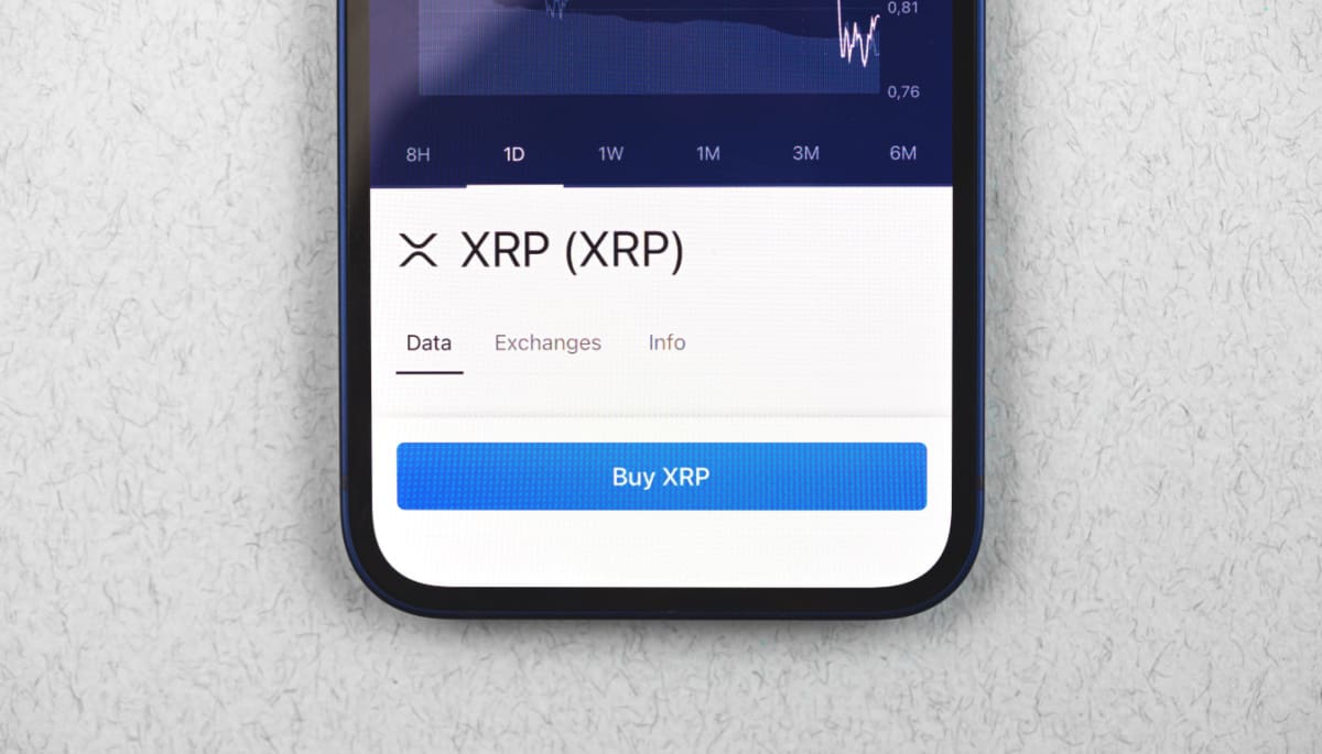Ripple momentum: grootste XRP bezitters uiten hun vertrouwen