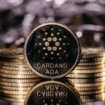 Cardano kreeg de meeste aandacht van alle crypto in december