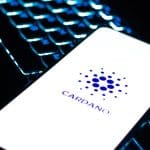 Cardano stijgt 51% deze week, analist verwacht koersdaling