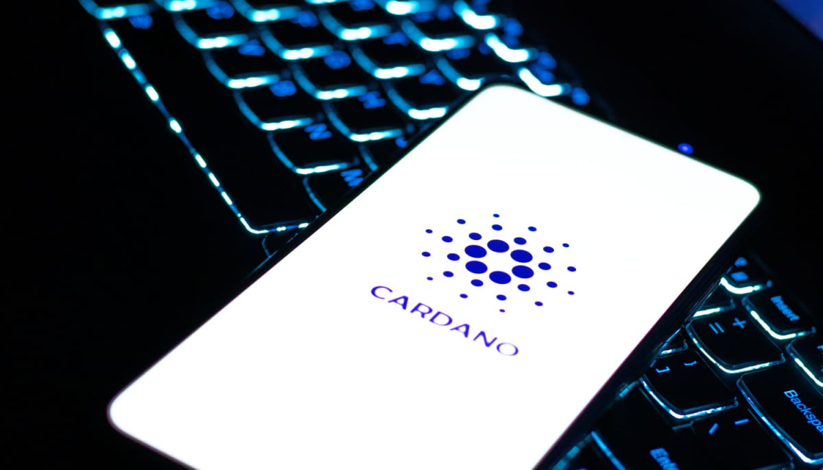 Cardano stijgt 51% deze week, analist verwacht koersdaling