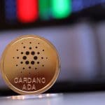 Cardano ecosysteem bloeit op met diverse nieuwe projecten