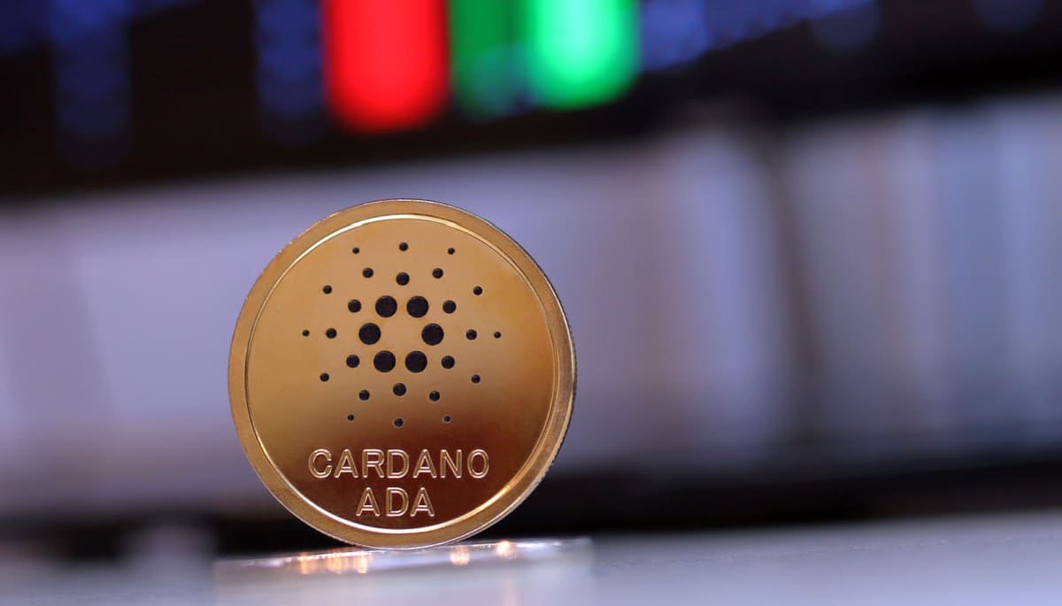 Cardano ecosysteem bloeit op met diverse nieuwe projecten