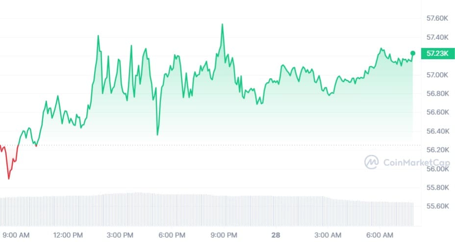 Bitcoin koers CoinMarketCap