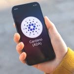 Cardano netwerk in volle bloei met behalen van indrukwekkende mijlpaal