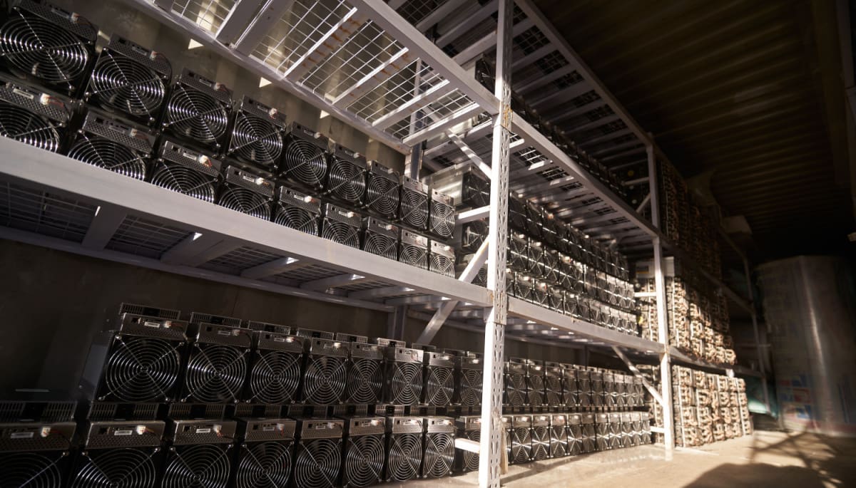 Uit de dood opgestane Bitcoin miner bloeit en verplettert concurrentie