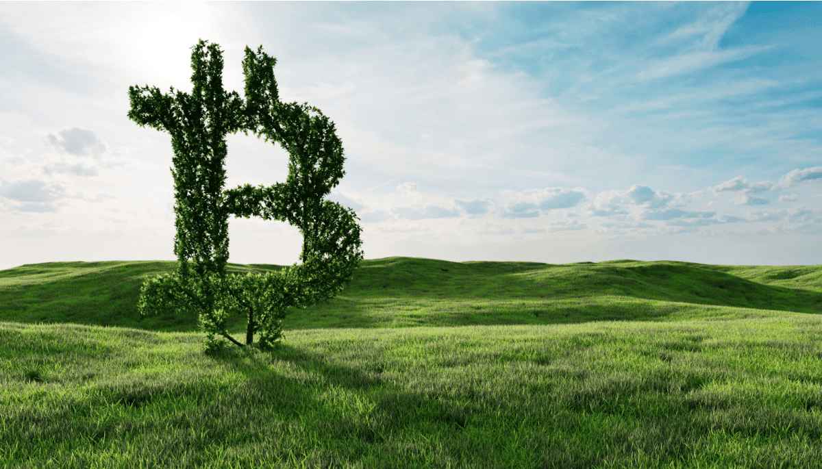 Bitcoin wordt hierdoor een steeds sterker middel tegen inflatie