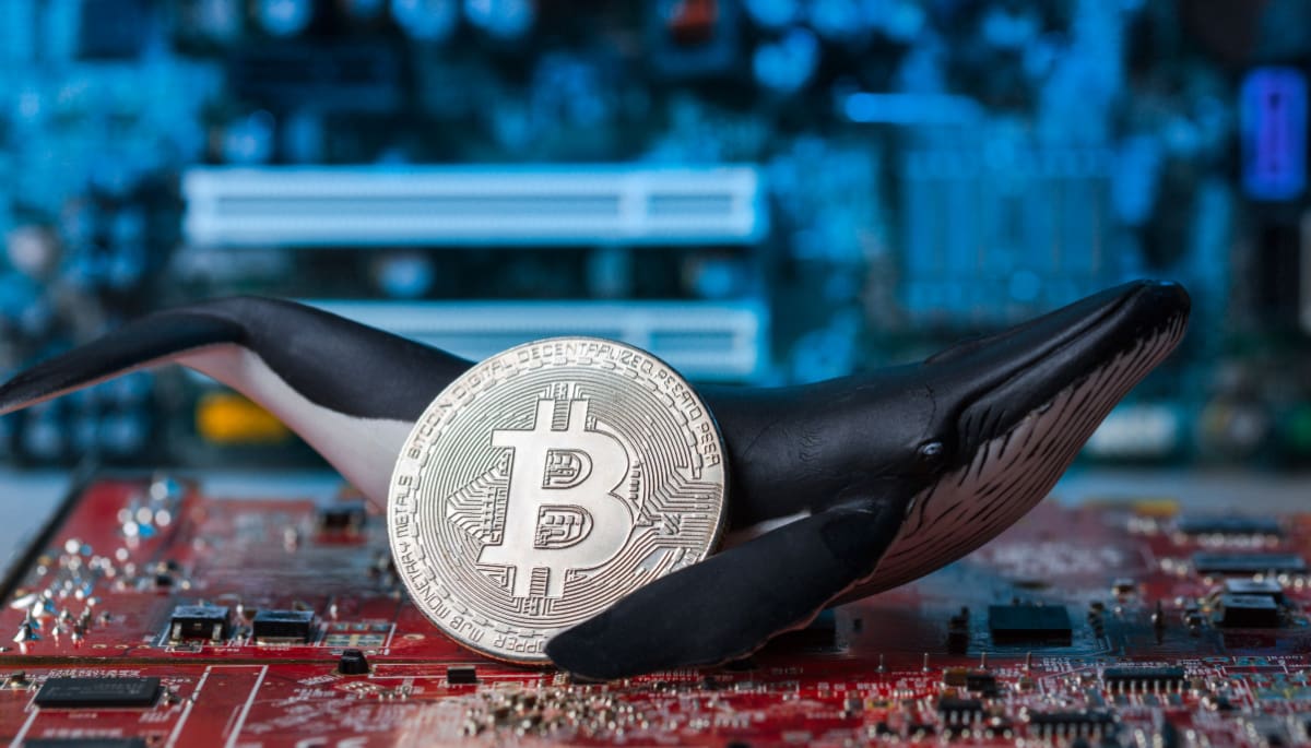 96% van bitcoin houders in winst door absurde koersbewegingen